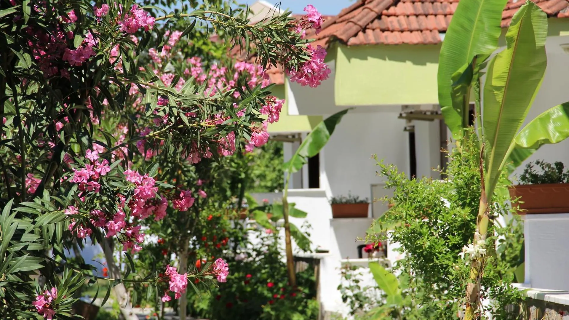 Hotel Riverside Dalyan 2*,
